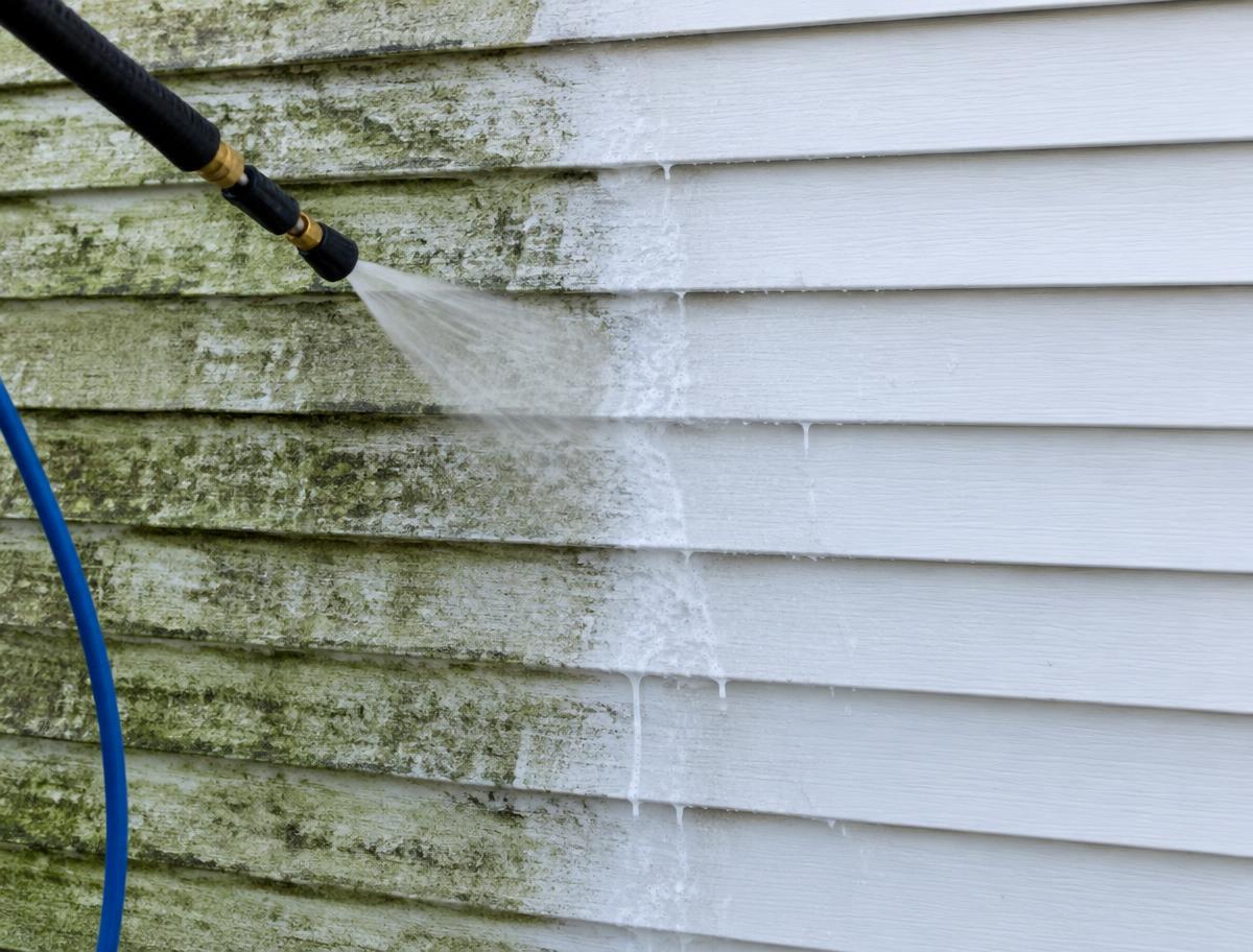 Vinyl siding with algae on one side and clean on the other